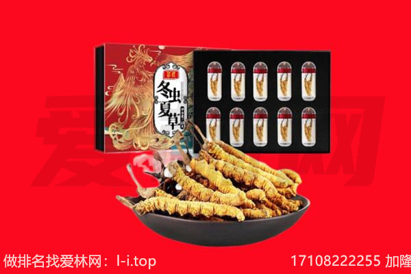 偃师市回收虫草.jpg
